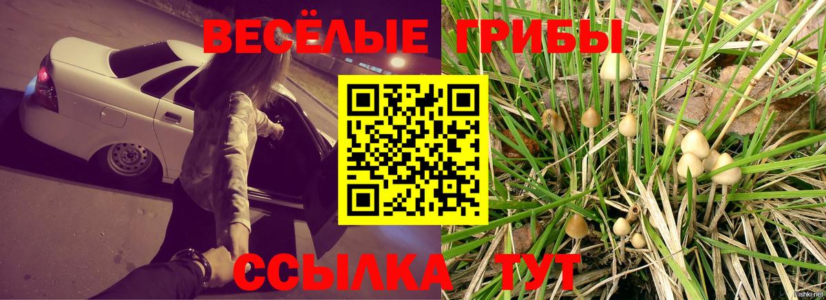 Галлюциногенные грибы ЛСД  Вход с VPN  Псилоцибиновые грибы MAGIC MUSHROOMS  Элиста 