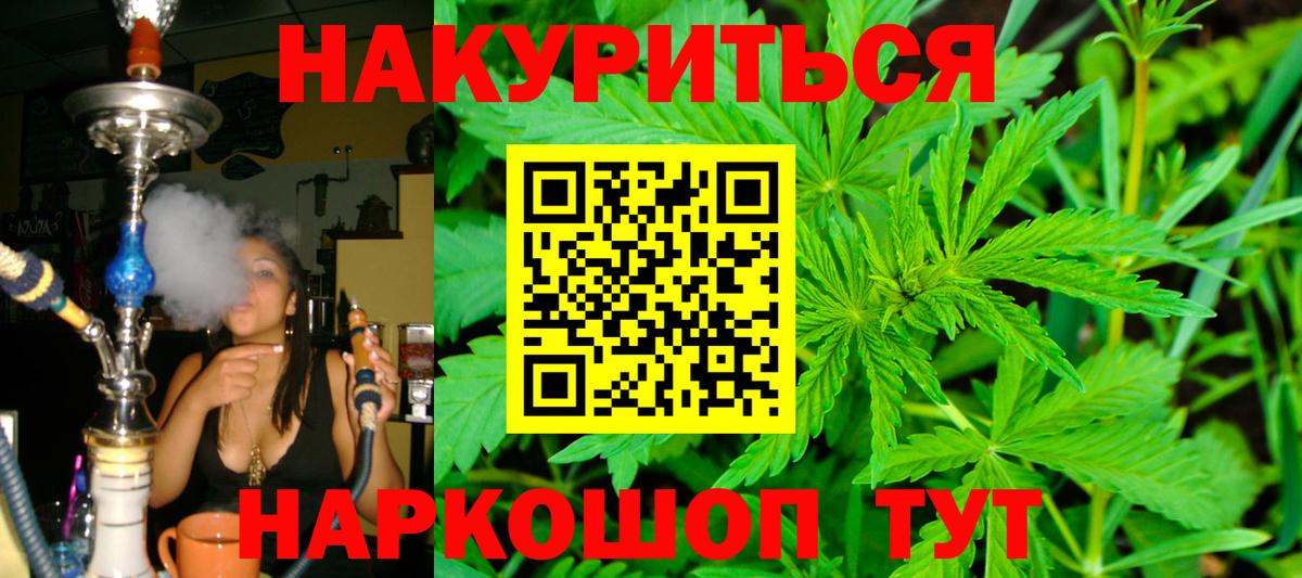 Бошки марихуана тримм  Вход с VPN  МАРИХУАНА SATIVA & INDICA  Элиста  Шишки марихуана OG Kush 