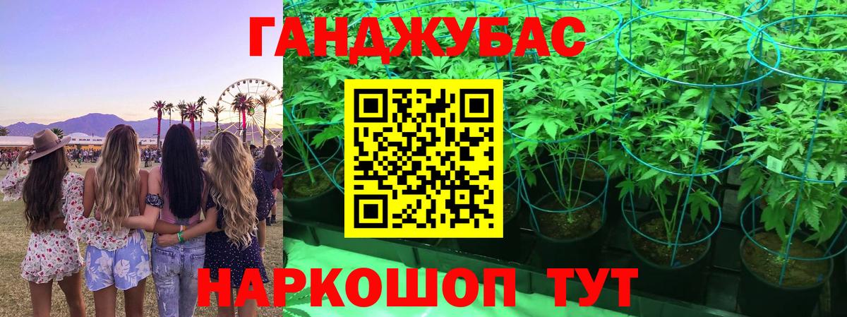 Шишки марихуана индика Элиста
